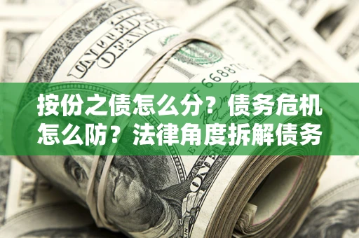 武汉按份之债怎么分？债务危机怎么防？法律角度拆解债务分配与风险自保指南