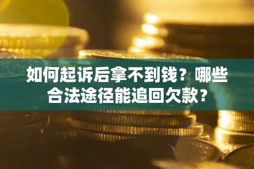 武汉如何起诉后拿不到钱？哪些合法途径能追回欠款？