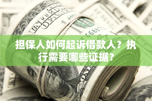武汉担保人如何起诉借款人？执行需要哪些证据？