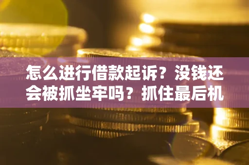武汉怎么进行借款起诉？没钱还会被抓坐牢吗？抓住最后机会！