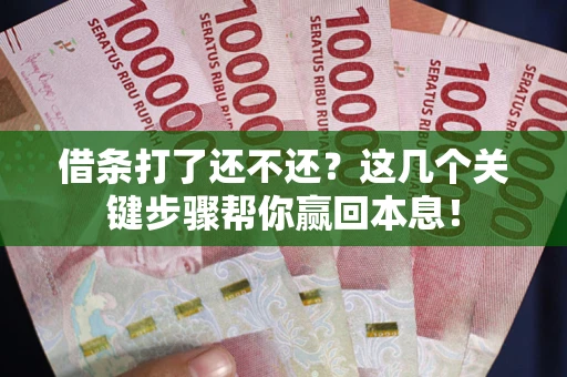 武汉借条打了还不还？这几个关键步骤帮你赢回本息！