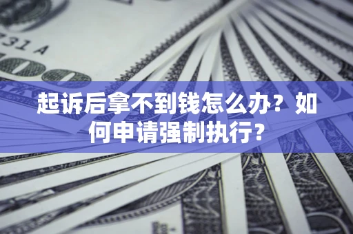 武汉起诉后拿不到钱怎么办？如何申请强制执行？