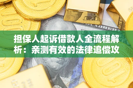 武汉担保人起诉借款人全流程解析：亲测有效的法律追偿攻略