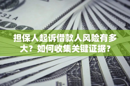 武汉担保人起诉借款人风险有多大？如何收集关键证据？