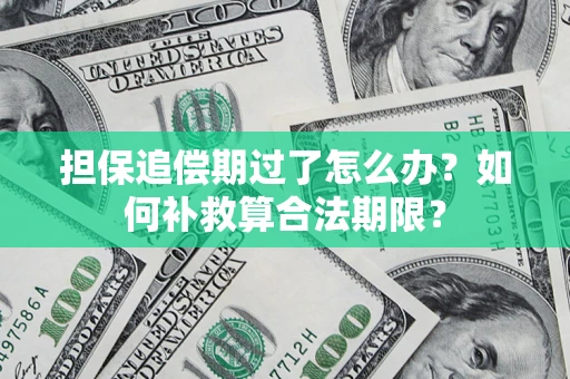 武汉担保追偿期过了怎么办？如何补救算合法期限？