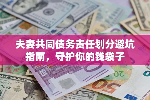 武汉夫妻共同债务责任划分避坑指南，守护你的钱袋子