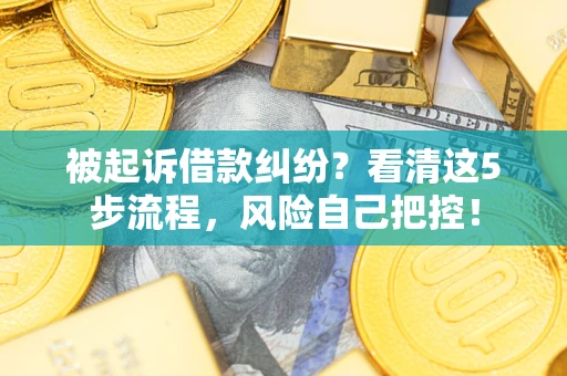 武汉被起诉借款纠纷？看清这5步流程，风险自己把控！