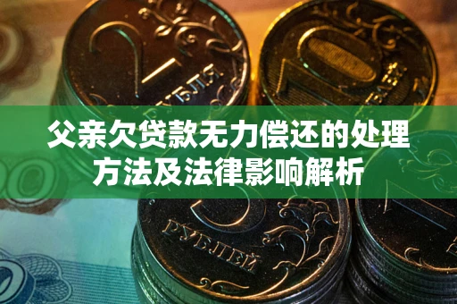武汉父亲欠贷款无力偿还的处理方法及法律影响解析