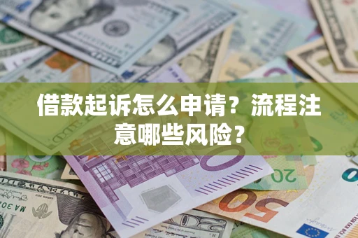 武汉借款起诉怎么申请？流程注意哪些风险？