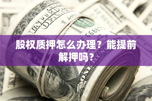 武汉股权质押怎么办理？能提前解押吗？